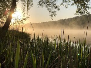 See in Brandenburg in der Morgensonne während einer Radtour durchs Havelland